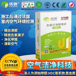 優(yōu)普金典X6型負(fù)離子凈醛墻泥