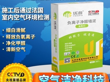 優(yōu)普金典X6型負(fù)離子凈醛墻泥